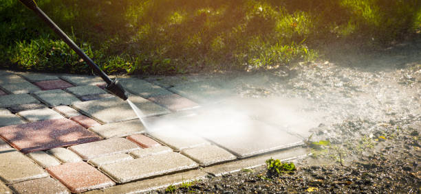 Best Driveway Pressure Washing  in Middleport, NY